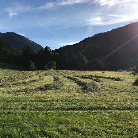 Chalet La Merlerie モルジヌ エクステリア 写真