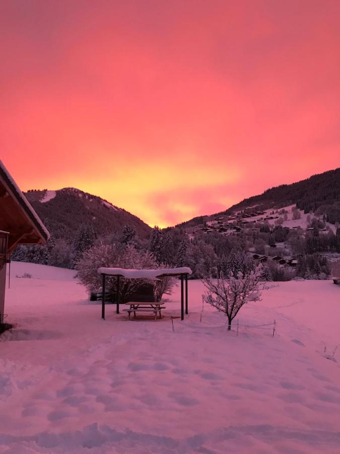 Chalet La Merlerie モルジヌ エクステリア 写真