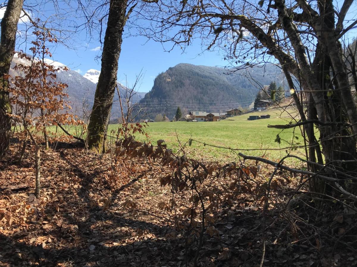 Chalet La Merlerie モルジヌ エクステリア 写真