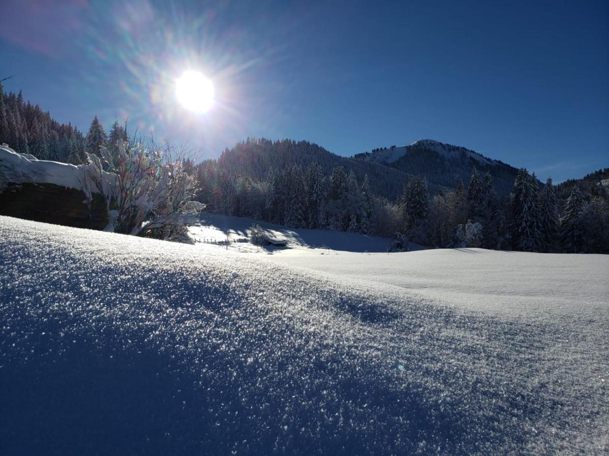 Chalet La Merlerie モルジヌ エクステリア 写真