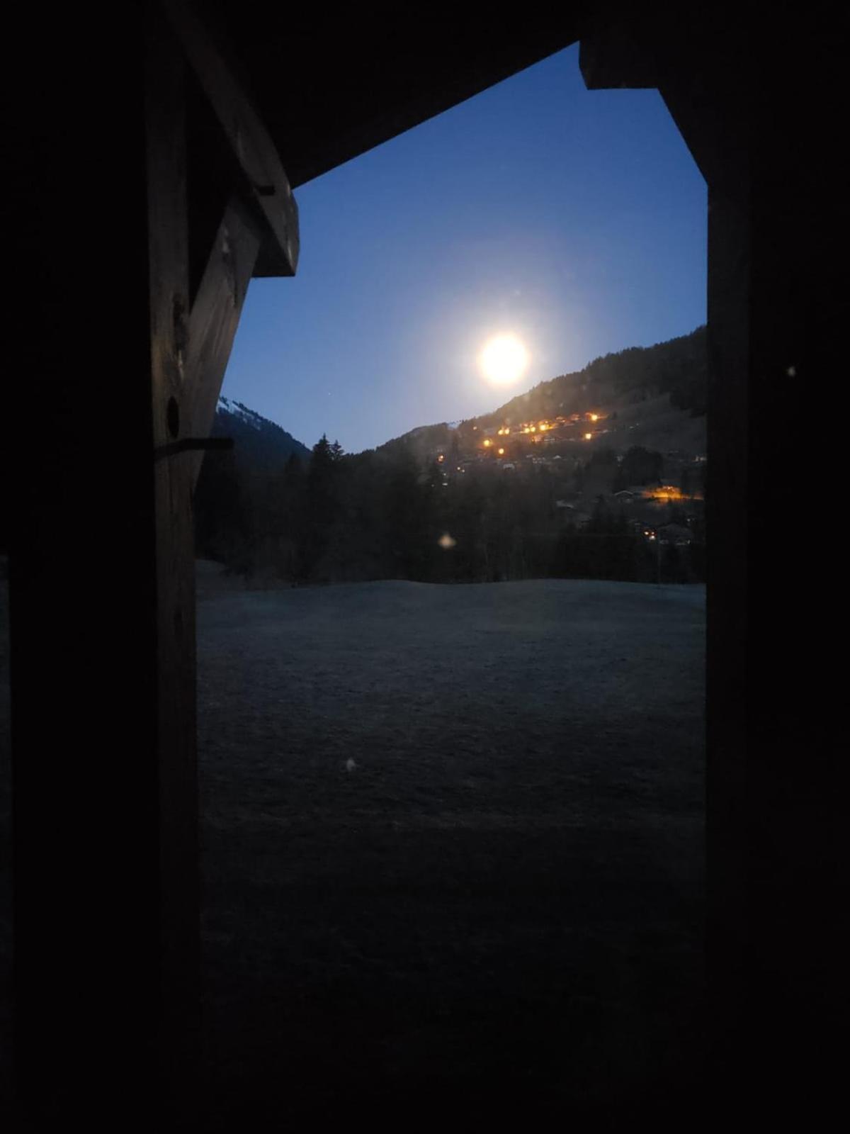 Chalet La Merlerie モルジヌ エクステリア 写真