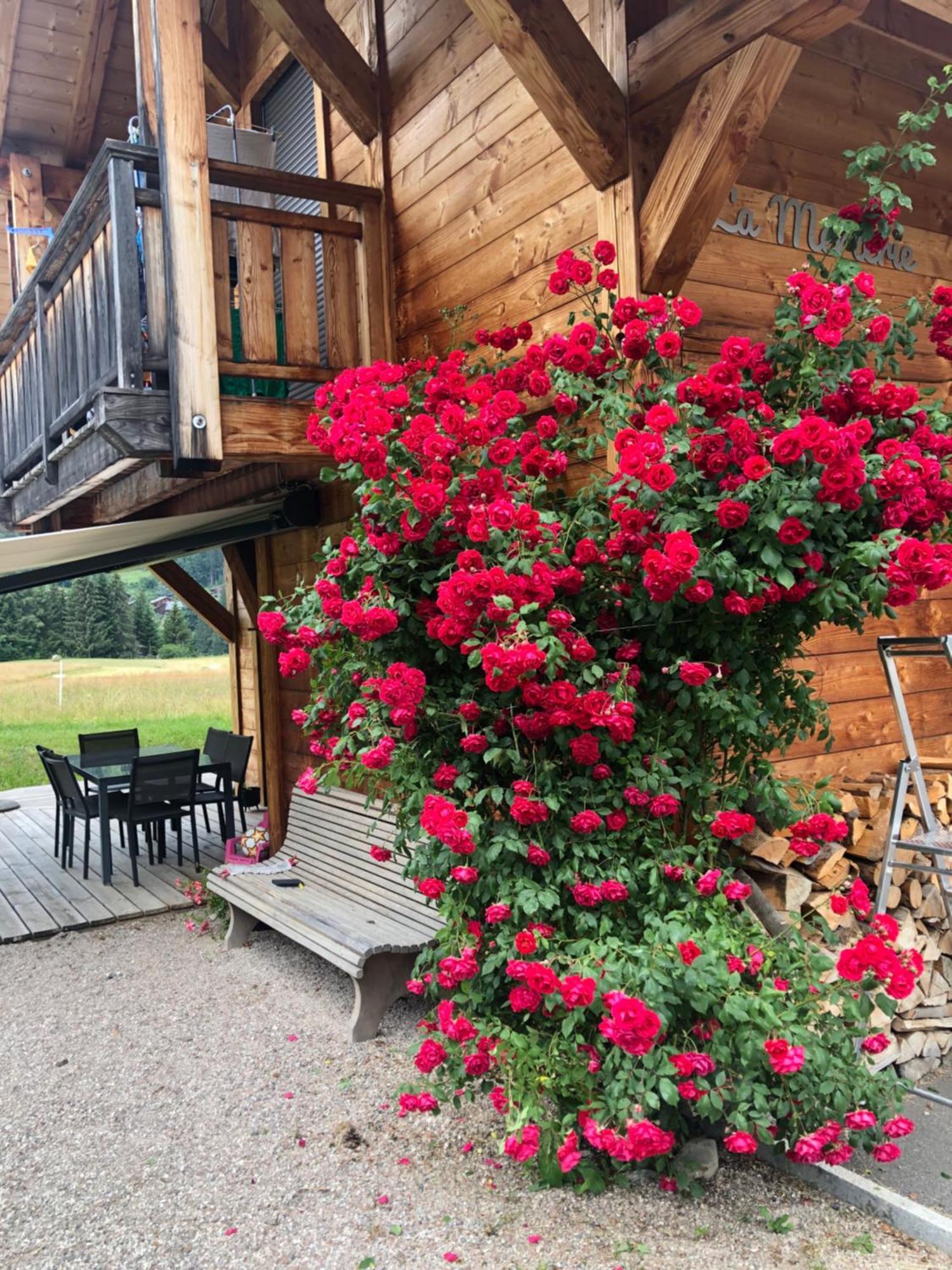 Chalet La Merlerie モルジヌ エクステリア 写真